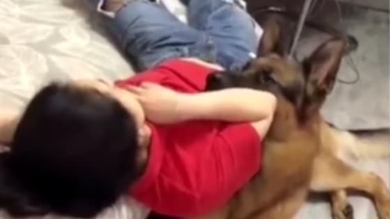 This dog was so heartwarming that it picked her up as soon as he was about to fall!