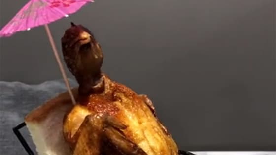 This chicken has good posture!Just like an old man!