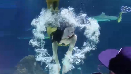 The beautiful aquarium Mermaid performance is really lovely.