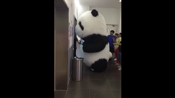 The giant panda can't get into the elevator, so the staff pushes it in to look lovely.