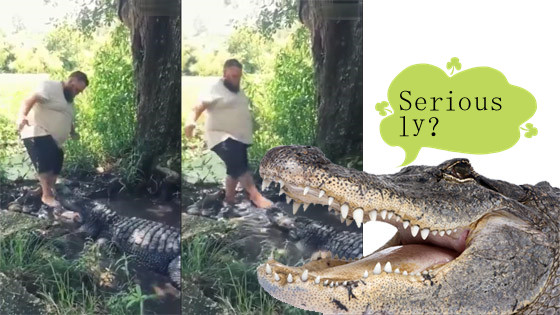 The man actually stepped on the head of the crocodile with his foot.