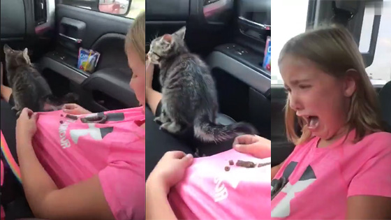  A cat shit on the little girl when she was in the car.