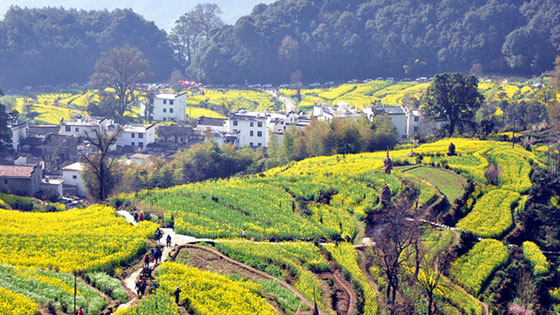 Wuyuan Jiangling scenic area has rural customs, fresh air, mountain scenery, and small bridges.