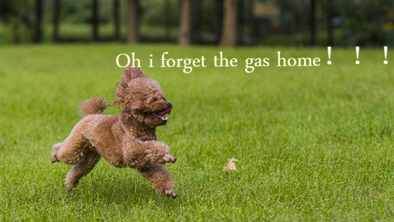Dog: Oh, No. the gas in the house is forgotten.