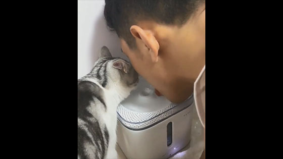 The cat will not use the new drinking machine that the owner bought. The result is that the man has 