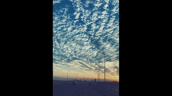 A netizen photographed such a beautiful sky on the high road home.