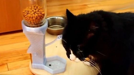 I was shocked to learn that the cat used to feed the grain automatically.