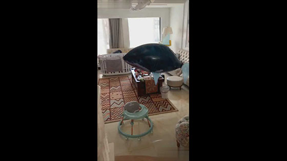Just like a real shark swimming, but in fact a plastic shark swimming in the house.