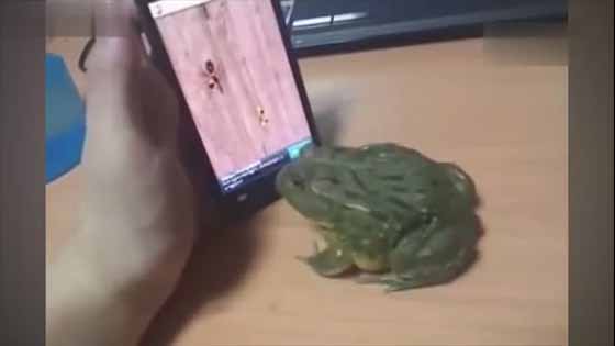  Frog is playing the game. Unbelievable! The guy is really funny! The ending is funny!