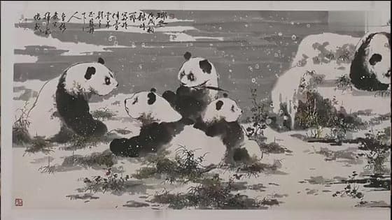 When the winter snow falls, what is the reaction of the giant panda?
