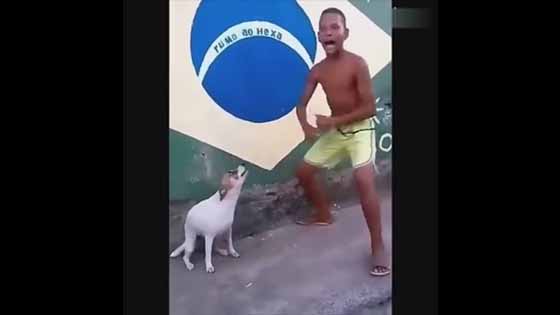 African puppies danced with people