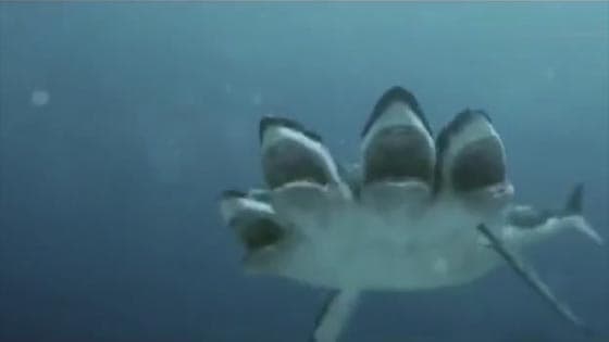 Four-headed shark monster, it's horrible!
