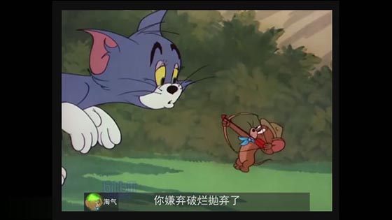 Ghost voice dubbing cat and mouse: two squirrels. It is really funny. HAHAHA...