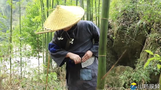 [Yam Video] Pig's hooves are so refreshing that they are stewed in a bamboo tube and dried in minutes.