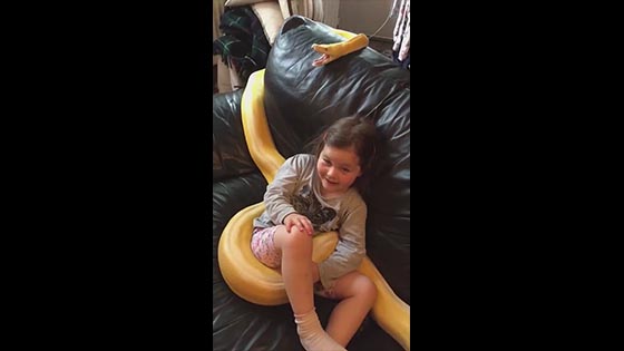 The little girl and the pet python watched TV, and the big snake opened its "blood pot" and   yawned....