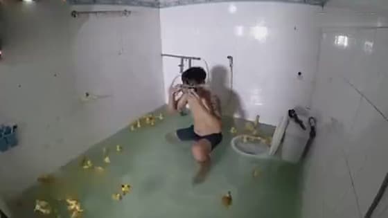 In order to play with 100 ducks,the lad blocked the toilet and turned the bathroom into a swimming pool in an instant