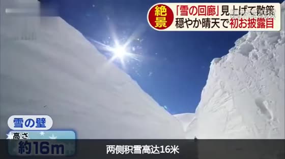 Driving under the snow wall, the snow on both sides of this road in Japan is as high as 16 meters!