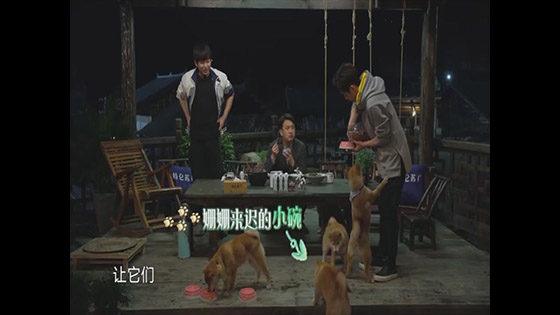 Huang Lei, Peng Yichang encountered a new survival rule, He Jiong was encircled by dogs. Feeding the dog.