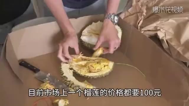 Durian trees bear dozens of durian, but why is the price as high as hundreds of yuan?