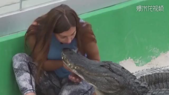 Beauty walked into the crocodile group to kiss, but also provoked the crocodile, the next second shocked chin!