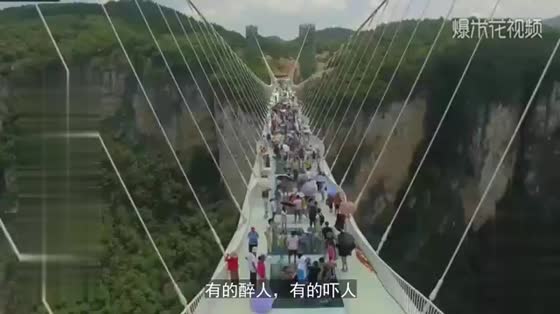 Frightening! 3-D glass bridge on the Yellow River, 210 meters long