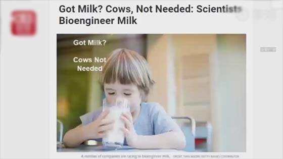 1 Artificial milk is developed after artificial meat? Milk experts said: active substances are not understood, how to copy?