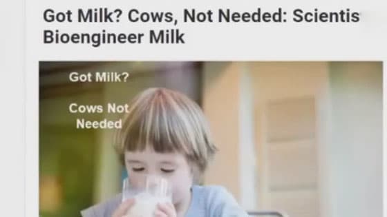 Artificial milk is coming!we don't need cow milk,but do you dare to drink it?