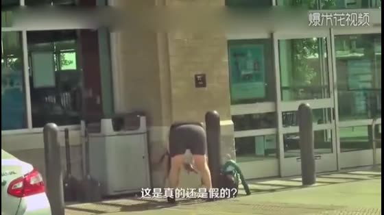 A fake snake jumped out of the rubbish bin on the street, and the passers-by reacted like hell.