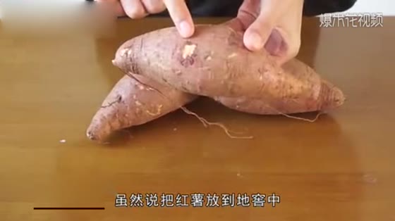 Sweet potatoes are hard to preserve in cold weather. Learning this trick will not be bad for a year.