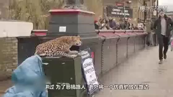 The man used the simulated crocodile head to trick tourists, and the tourists'reaction was so funny.