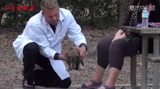 As a prank, the man holds the pet dog of passers-by and then makes an injection. The mother's reaction is really funny.