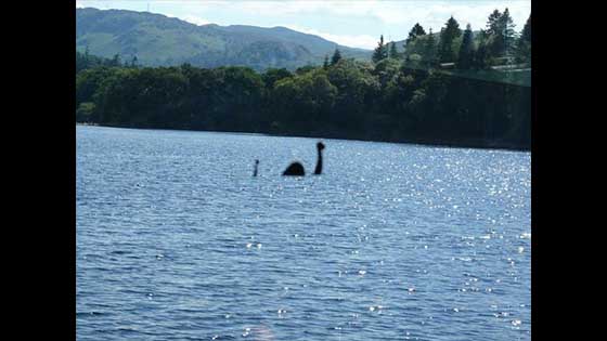 Does the Loch Ness monster really exist? DNA analysis will reveal the secret, experts: the results are surprising.