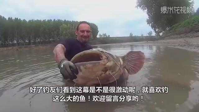 Foreign catfish are flooding, growing to the age of adults, and we can eat them to extinction.