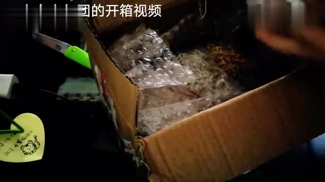 Open-box video from almond balls, 1000 + materials.