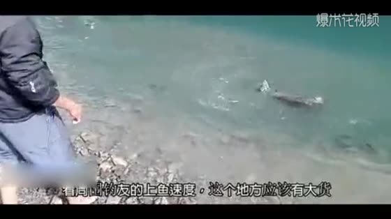 The weird fish in the river bites crazily, and the man pulls the silly eye after he goes ashore with all his strength. What kind of weird fish is this?