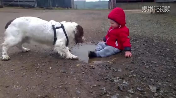 God, the dog teaches the baby to play with mud. Mother is so angry.