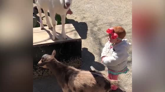 It's hard to get along with children and animals.