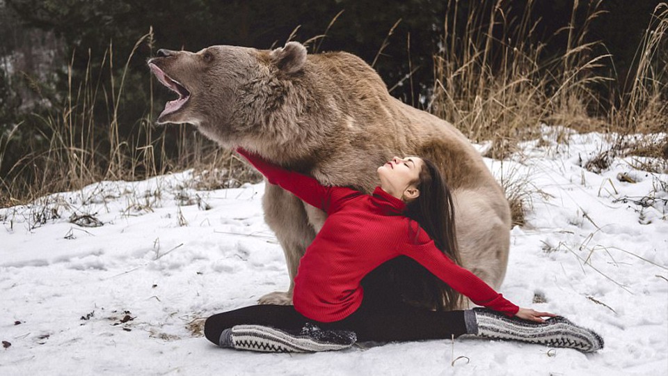 Austrian Beauty and Big Bear Practice Yoga, Bear: I'm not happy.