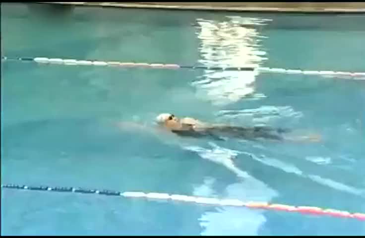 Body Posture Swimming Teaching Video - Backstroke [Backstroke]