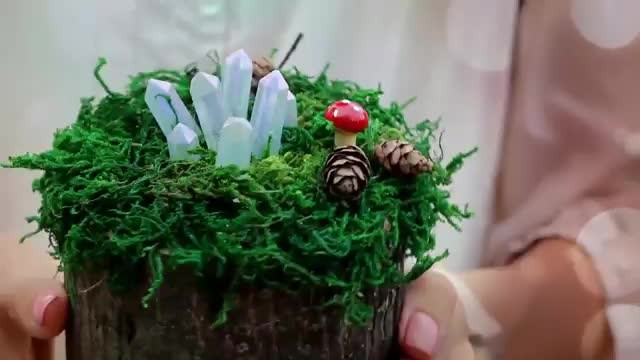 Self-made moss micro-landscape video tutorial to create a personal fairyland