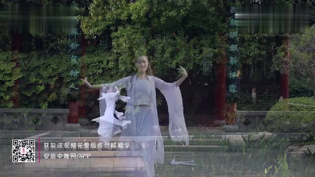 Chinese Dance Network Dance Teaching Video Liangliang
