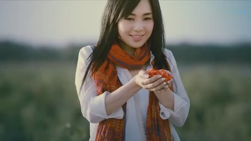 Sora Aoi most beautiful public welfare promotional film,it's very memorable.