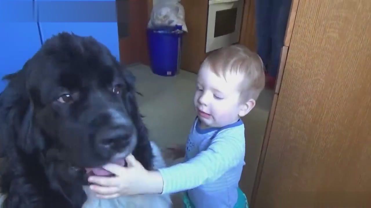 Dog and baby friendship, who says can't live in harmony