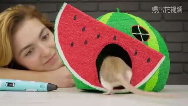 Beautiful watermelon pet house, give your baby one too