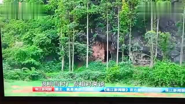 Anglo-German Archaeological Discovery (Pearl River Channel of Guangdong TV Station) Guangdong people have been eating water, land and air since ancient times, [Science, Archaeology]
