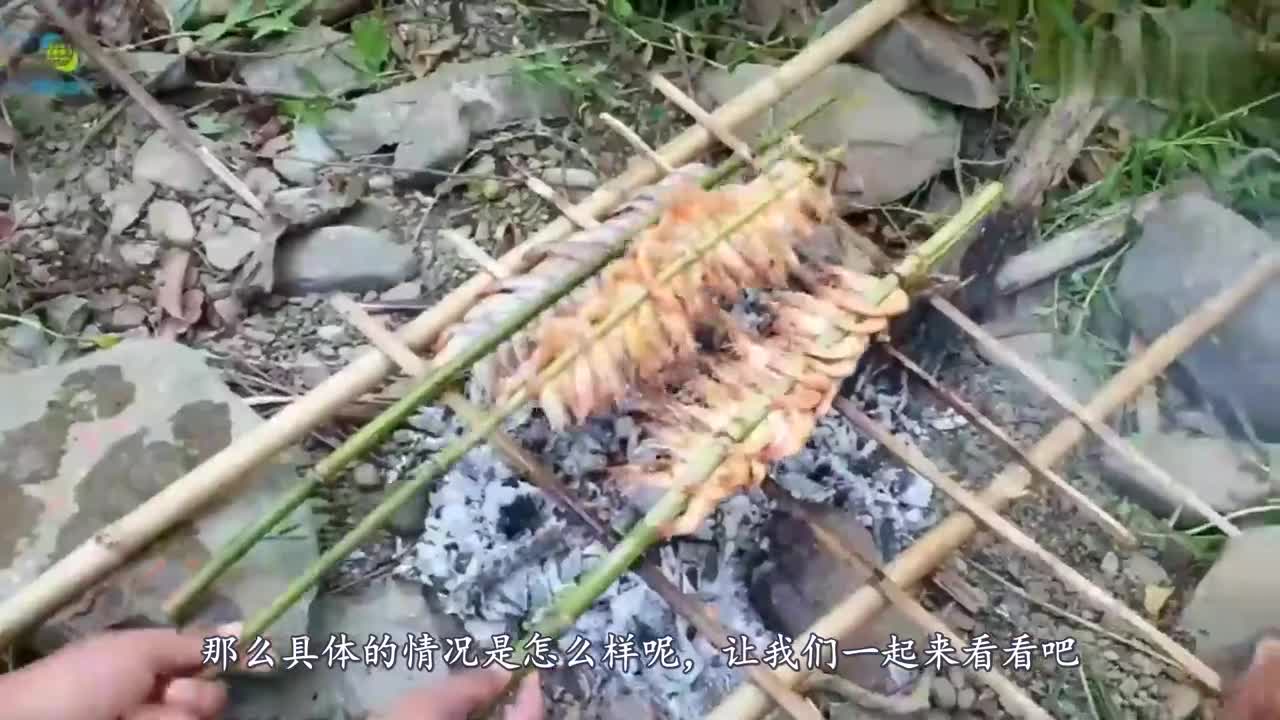 Brother and sister-in-law roast prawns in the field. After watching the video, it's so cool to eat.