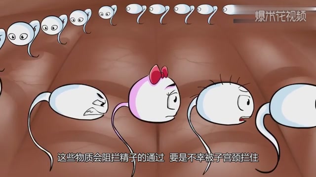 Animation interpretation, can't meet the sperm of the egg, where did they finally go?