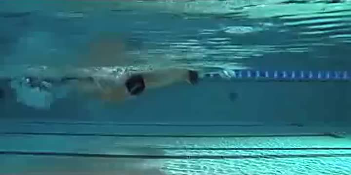 Skills of Butterfly Swimming in Swimming Teaching Video-c
