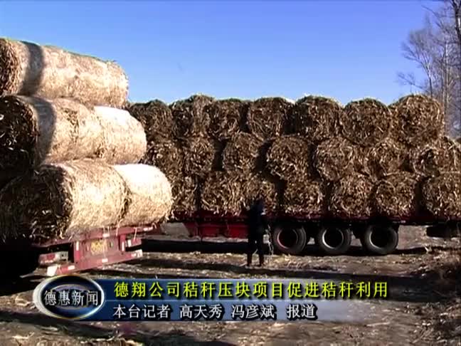 Video News: Dexiang's Straw Block Project to Promote Straw Utilization