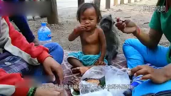 Monkeys snatch small children. Stop laughing the next ten million seconds. Photo the whole process.